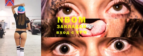 сатива Белокуриха