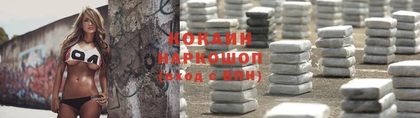 сатива Белокуриха