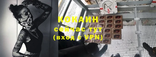 сатива Белокуриха